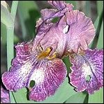 DSCN0072.JPG